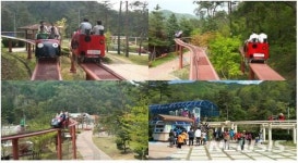 보은 솔향공원 스카이바이크