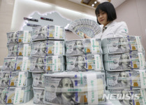 외환보유액 넉달만에 감소…3948억달러