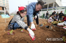 금천구, 주말농장·친환경상자텃밭 분양