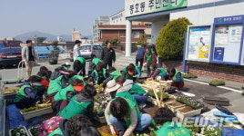 진해군항제 앞두고 꽃단장 하는 풍호동