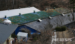 적막감 휩싸인 음성군 AI 확진 판정 오리농장