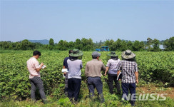 제주도농기원, 농업현장애로 해결할 컨설팅팀 운영
