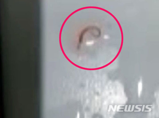서울 가정집에서도 발견된 수돗물 유충 | 포토뉴스