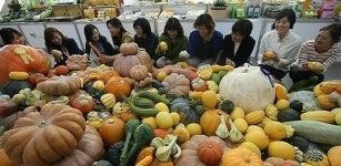 지방간에 좋은 식단, 살펴보니 과일은...