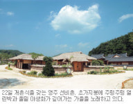 [경북영주 ‘선비촌’] 뒷짐 지고 “에헴” 여기선 누구나 대감！