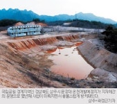 [멍드는 국토… ‘녹색희망’ 심자 ⑷] 속리산 주변도 몸살