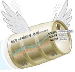 [국제유가 연일 최고가 경신] 경기 봄바람…油高 꽃샘추위