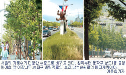 서울 가로수 ‘거리마다 달라요’