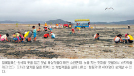 [노을지는 갯마을] 갯벌과 하나되어 꿈을 캐내자 추억을 담자