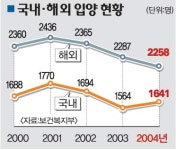 “아이 없이 지내도 남의 자식은 못키워？”…혈통주의 국내입양 막는다