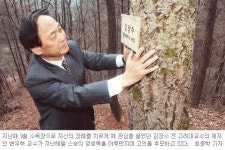수목장 형태 ‘散骨공원’ 만든다