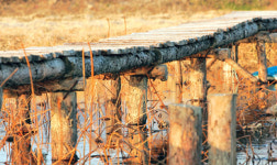 [영상QT] 건너편에 있는 것이 아니다