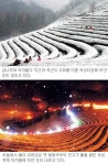 [눈내리는 녹차밭 전남 보성] 마침표 없는 ‘겨울동화’