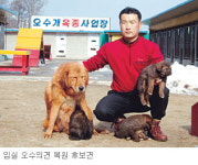 오수義犬 복원 머잖았다…임실군 70여마리 후보견 사육