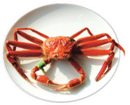 [경북 영덕 풍력발전단지] 먹거리