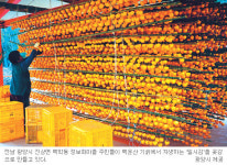정보화마을 농산물 판매 벌써부터 설특수…전남 농가 인터넷이 효자