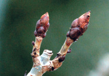 [영상QT] 기도하는 두 손