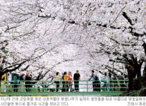 부산 명지·신호택지지구 급부상…연말까지 1만여가구 분양