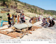 남도의 4월，축제의 봄날…목포·화순·함평