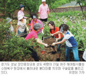 “수해 꽃·나무도 하나님 창조물”… 성남 장안중앙교회 해여림식물원서 복구작업