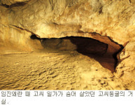 [동굴여행 4곳] 기묘한 종유석 아래 흐르는 지하천 장관… 영월 고씨동굴
