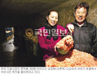 온양 마지막 젓갈 명가, 토굴 숙성 옹고집… 3대째 이어온 50년 맛깔