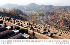 태인장묘개발컨설팅 | [선한이웃 좋은세상] 수목장… 친환경 장묘시설 탈바꿈