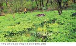 [수도권 식물원·수목원―가평 꽃무지풀무지] 싱그런 야생정원 머물고 싶어라