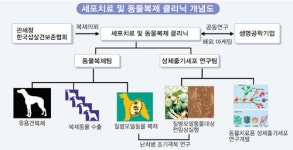 [서울대 동물복제산업 나섰다] 의미·전망… ‘질병모델견’이용 난치병 정복