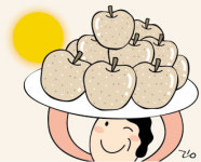 [애플경제] 올 추석 축산물값 싸진다
