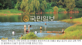 [금강 상류 적벽강 일대―다슬기 잡이] “아빠! 여기도 있어요”