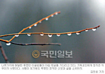 [크리스천의 미덕―(9·끝) 정직] 하나님이 주신 가장 큰 재산