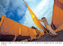 [여행메모―청도] 홍시 따고, 맛도 보고… 10월 26일부터 사흘간 ‘반시축제’