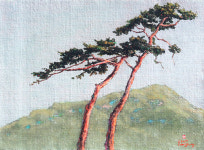 [그림이 있는 아침] 소나무 동산