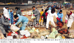 기독인들 태안 기름유출 현장으로… 방제작업·자원봉사 앞장