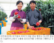 30만달러 수출 ‘파프리카 대박’… 통영 이민화씨 경남 농산물 수출상 수상