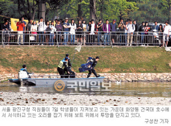 建大 호수 서식 조류 20여마리 집단 살처분 작업 착수