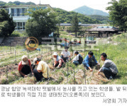 [young 우리친구 ②―녹색대학 김주희] 경남 함양 녹색대학은？
