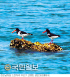[여행메모―‘사승봉도’] 개인소유 무인도 민박 가능