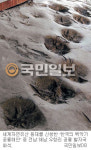 남해안 공룡 화석지 세계유산 등재 유력