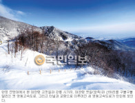 [여행메모―‘세 갈래 대관령’] 이국적 설원 삼양목장·눈길 트레킹 선자령 가볼만