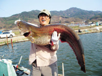 횡성 청룡저수지서 1m32㎝짜리 메기 잡았다