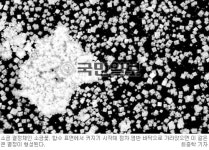 [Monthly 미션―소금] 알수록 신비한 소금의 과학