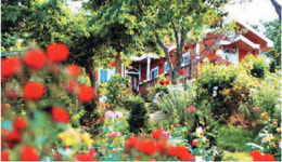 [올 여름캠프 어디가 좋을까] 꿈의 동산，에덴랜드 키즈 코리아