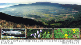 양구 펀치볼에 사파리공원 만든다