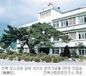 전북 천연기념물 후계木 한 곳서 자란다