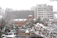 [지역별 주요병원을 가다] ③ 대구광역시 경북대학교병원