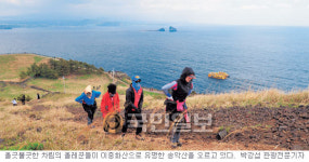 제주올레길 미리 알고 떠나면 “올레！”