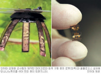 [생활 속 과학이야기] 로봇… 반도체… 스피커… 종이, 첨단 신소재로 뜬다