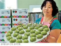 [여행메모-양구] 6월 18∼20일 ‘도솔산 전적 문화제’ 볼거리 풍성